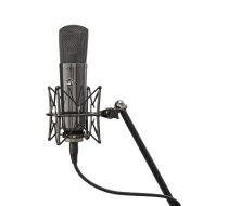 Limited-Edition Stereo Pair Large-Diaphragm Balanced Condenser Microphone, Titanium Finish