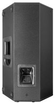 1000-Watt 1 x 12" Passive Monitor