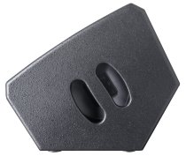 1000-Watt 1 x 12" Passive Monitor