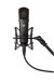 Large-Diaphragm Transformerless FET Condenser Microphone, Black