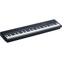 88-Key Weighted Digital Piano with USB Midi and Audio, Black