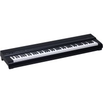 88-Key Weighted Portable Digital Piano with USB Midi and Audio, Black