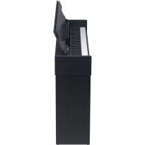 Andromeda Series 88-Key Weighted Compact Upright Digital Piano, Black
