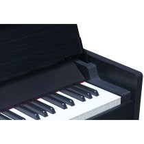 Andromeda Series 88-Key Weighted Compact Upright Digital Piano, Black