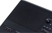 61-Key Arranger Workstation Keyboard with Bluetooth & Customizable LEDs, Black