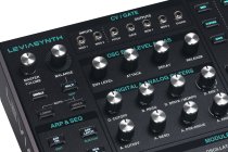 16-Voice Algorithmic Desktop Synthesizer with Analog Filters