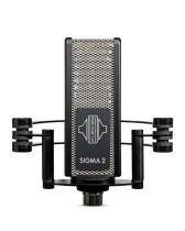 Figure-of-Eight Ribbon Microphone for Voice and Instruments