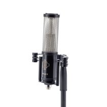 Stereo Ribbon Microphone