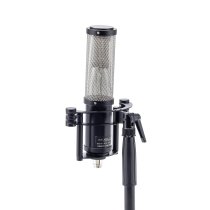Stereo Ribbon Microphone