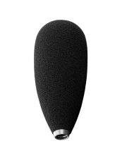 Stereo Handheld Audio Recorder