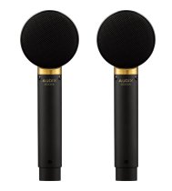 (EA) Speaker Pole