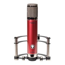 Multi-Pattern Large Capsule Tube Condenser Microphone (Black Lion Modded)