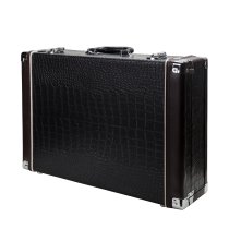 Multi-Pattern Large Capsule Tube Condenser Microphone (Black Lion Modded)