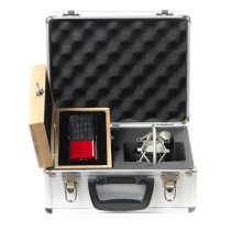 Ribbon Microphone With Dual Ribbon Element