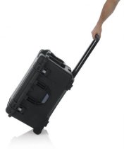 Titan Waterproof Case For 10 Shure DC 5980 Units