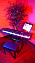 Traditional Wooden Piano Bench, Black
