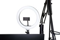 ID Series Creator Tree Ring Light Fixture