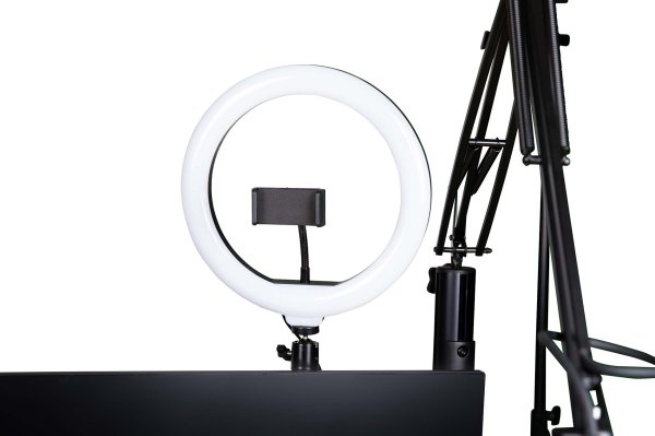 ID Series Creator Tree Ring Light Fixture