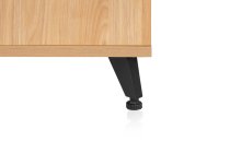 Elite Series Sidecar Rack Cabinet With Shelf, Maple
