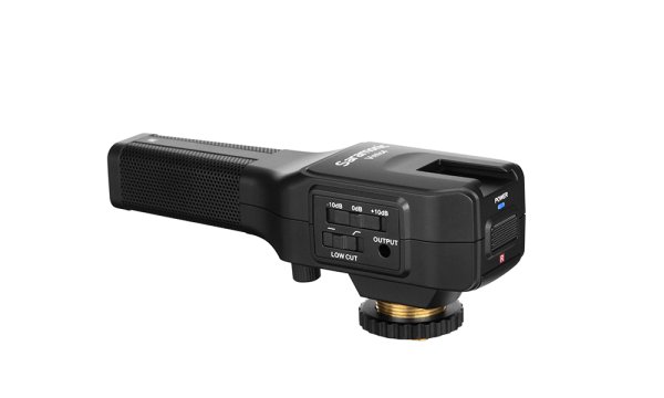 Dual Capsule Directional Condenser Microphone