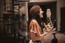 Vintage Style Studio Ribbon Microphone