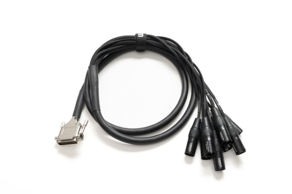 Premier 10’ DB25 To Male XLR Cable