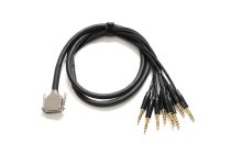 Premier 6’ DB25 To TRS Cable