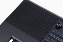61-Key Arranger Keyboard Digital Workstation