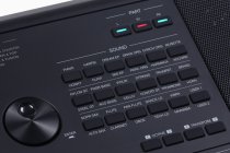 61-Key Arranger Keyboard Digital Workstation