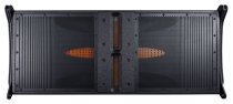 Dual 12" Line Array Loudspeaker Module